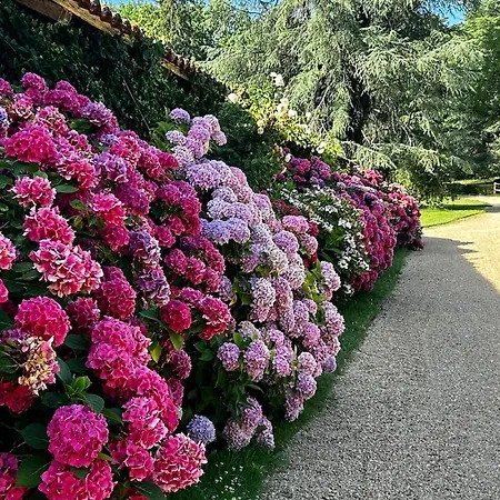 Chateau Belet וילה