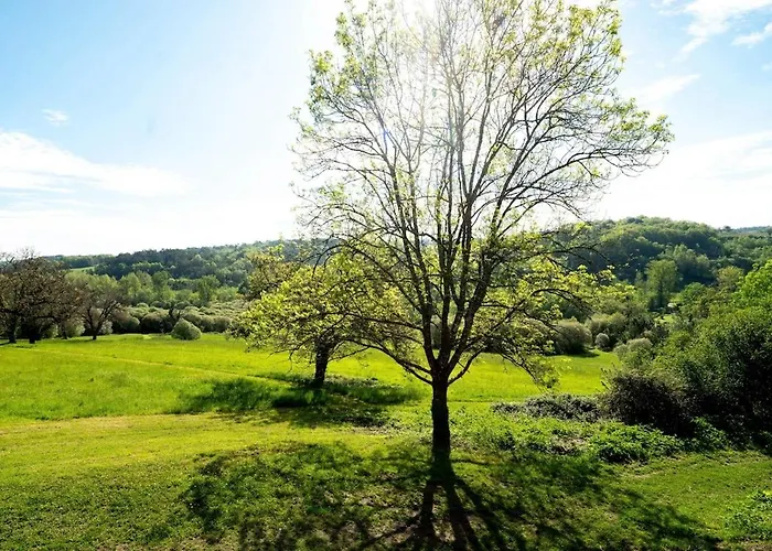 Chateau Belet * Saint-Aquilin